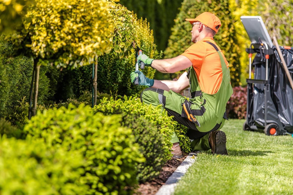 manutenzione giardino